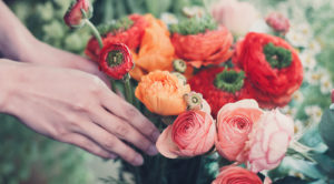 兵庫県尼崎市にある「施術」×「美容」のサロン「ViLuX」